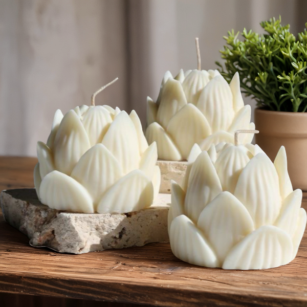 Creamy white lotus flower-shaped candles on natural stone and wooden surface with green potted plant background.