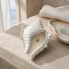 Conch Shell Ceramic Jar Candle
