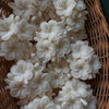 White floral-shaped aromatic candles arranged in a woven basket.