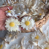 Hand holding daisy-shaped white candle with yellow center, tied with white ribbon in clear wrap.