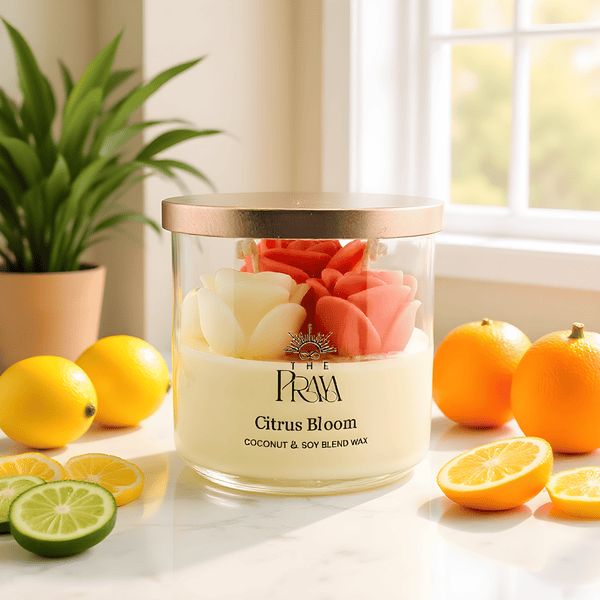 3-wick jar candle labeled Citrus Bloom with coconut and soy blend, surrounded by citrus fruits.