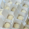 Set of 10 cream-colored peony flower candles in white open boxes arranged in rows.